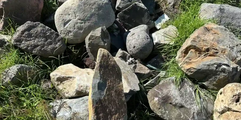 Decorative-Rock_HEC.kiwi_5 Decorative-Rock_HEC.kiwi_5